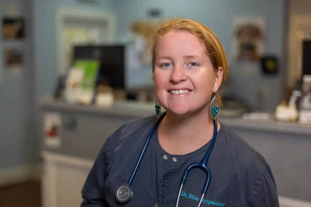 Dr. Ellie Gripshover in the By Pass Animal Clinic