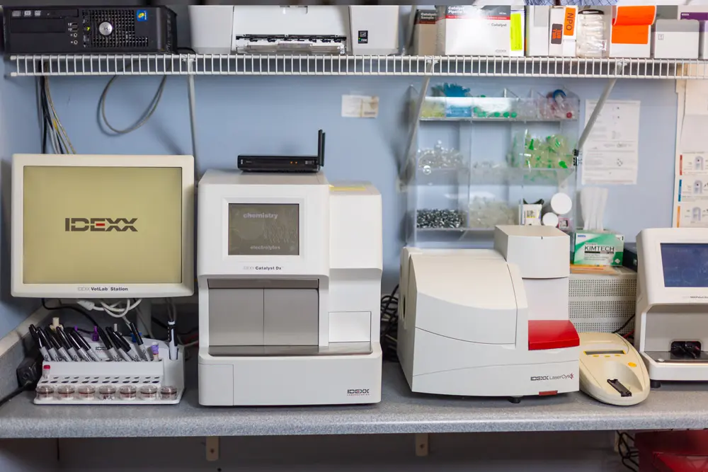 Veterinary diagnostic and laboratory equipment in the clinic.