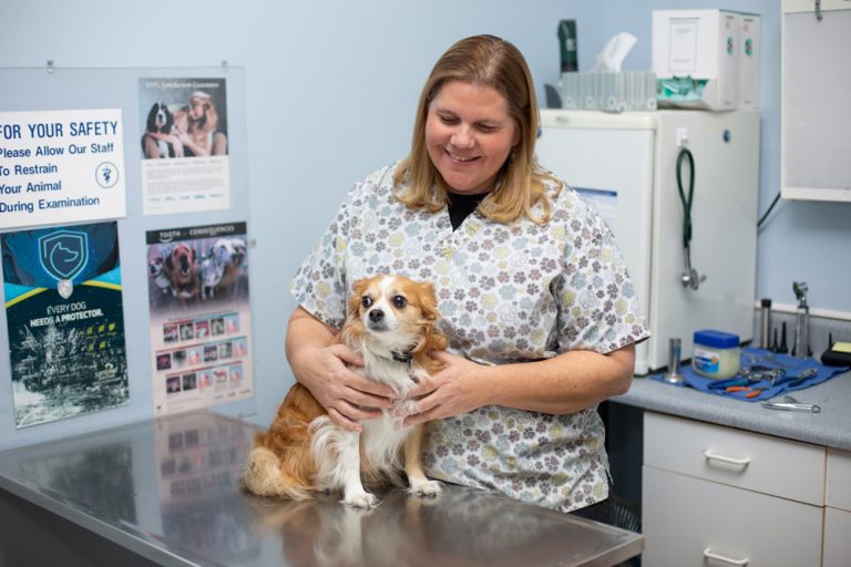Preventative Care By Pass Animal Clinic Bowling Green, KY